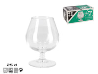 COPA CO?AC 25CL T FAA6H